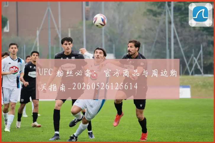 UFC 粉丝必备:官方商品与周边购买指南_20260526125614
